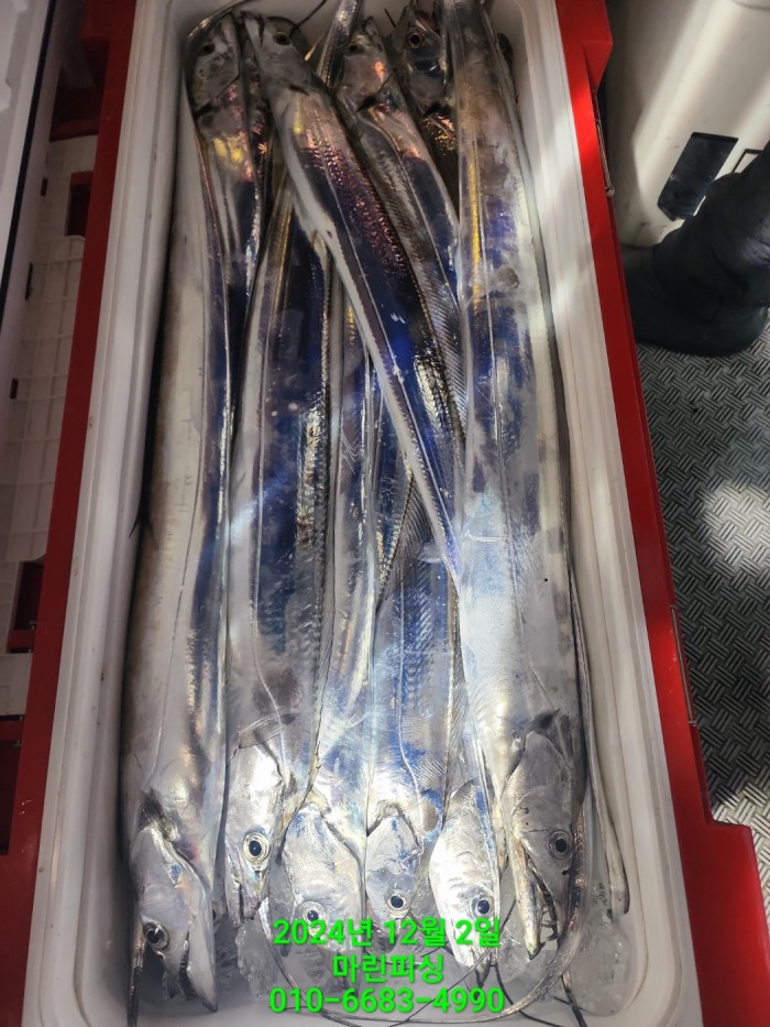 6de7b4ebaa5cd3a494d0d5bdc48c1904_1733108362_5475.jpg 6de7b4ebaa5cd3a494d0d5bdc48c1904_1733108362_5475.jpg