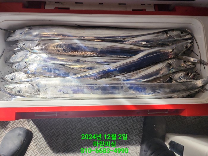 6de7b4ebaa5cd3a494d0d5bdc48c1904_1733108363_553.jpg 6de7b4ebaa5cd3a494d0d5bdc48c1904_1733108363_553.jpg