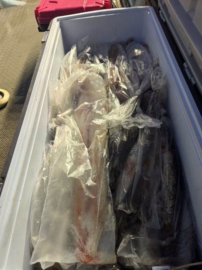 3134b5a0b50f1f76936f16284e5531e6_1748763502_843.jpg 3134b5a0b50f1f76936f16284e5531e6_1748763502_843.jpg