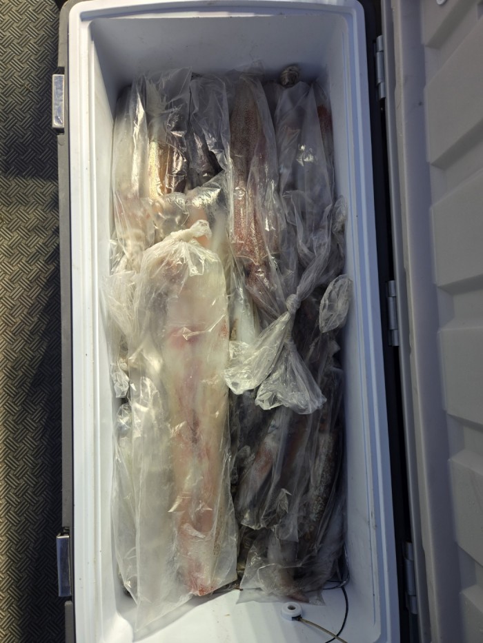 3134b5a0b50f1f76936f16284e5531e6_1748763503_4553.jpg 3134b5a0b50f1f76936f16284e5531e6_1748763503_4553.jpg