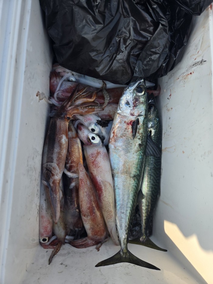 3134b5a0b50f1f76936f16284e5531e6_1748763504_0817.jpg 3134b5a0b50f1f76936f16284e5531e6_1748763504_0817.jpg