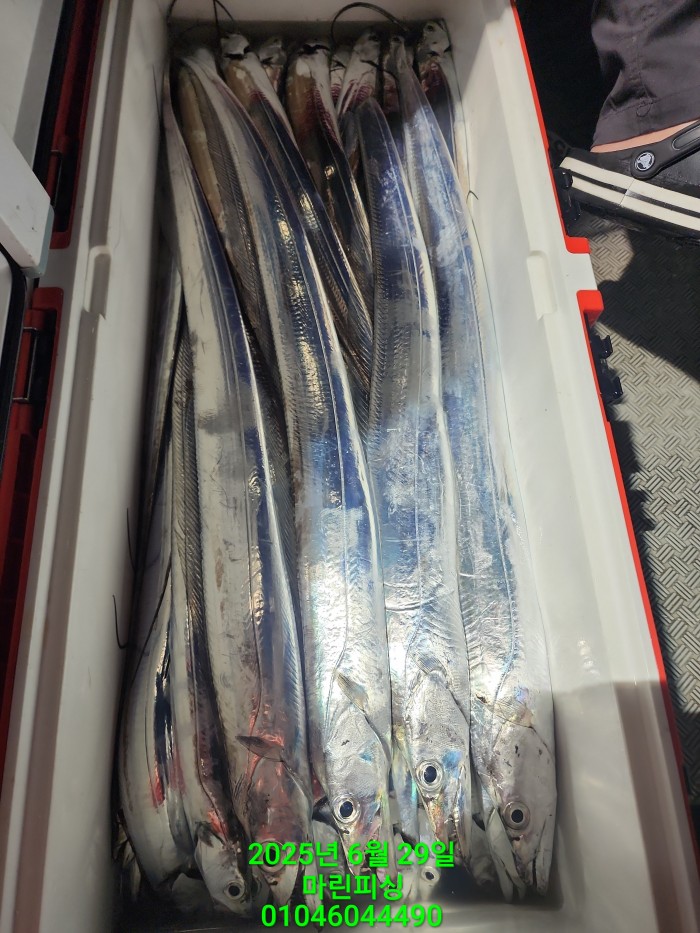 4269f80cee36a930dabc63b7f8c41848_1751157046_7427.jpg 4269f80cee36a930dabc63b7f8c41848_1751157046_7427.jpg