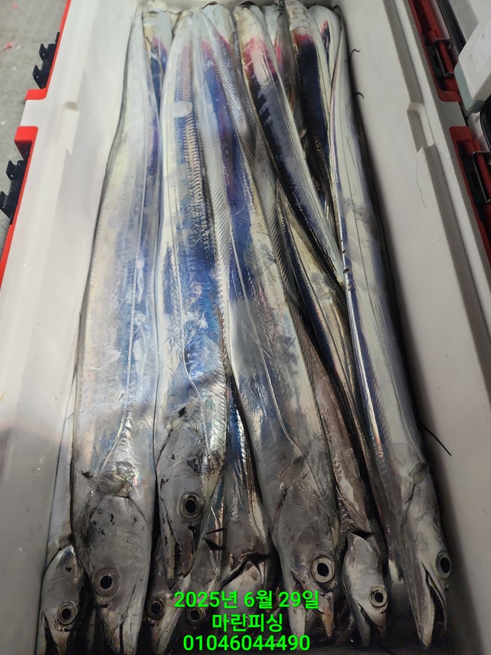 4269f80cee36a930dabc63b7f8c41848_1751157049_77.jpg 4269f80cee36a930dabc63b7f8c41848_1751157049_77.jpg