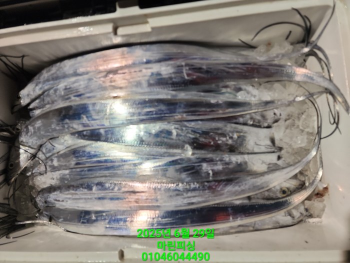 4269f80cee36a930dabc63b7f8c41848_1751157052_5226.jpg 4269f80cee36a930dabc63b7f8c41848_1751157052_5226.jpg