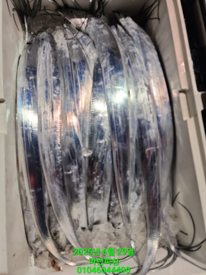 4269f80cee36a930dabc63b7f8c41848_1751157055_1488.jpg 4269f80cee36a930dabc63b7f8c41848_1751157055_1488.jpg