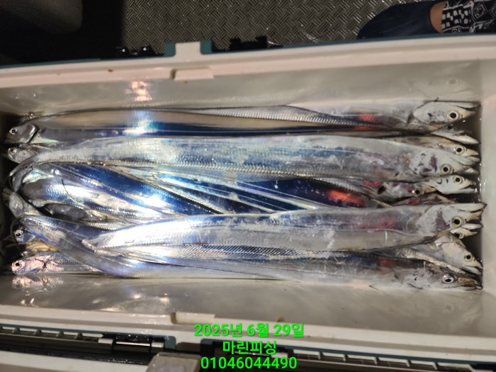 4269f80cee36a930dabc63b7f8c41848_1751157058_8833.jpg 4269f80cee36a930dabc63b7f8c41848_1751157058_8833.jpg