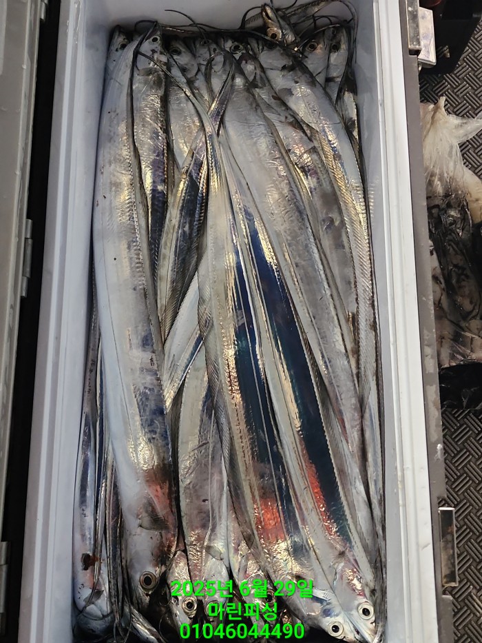 4269f80cee36a930dabc63b7f8c41848_1751157065_0688.jpg 4269f80cee36a930dabc63b7f8c41848_1751157065_0688.jpg