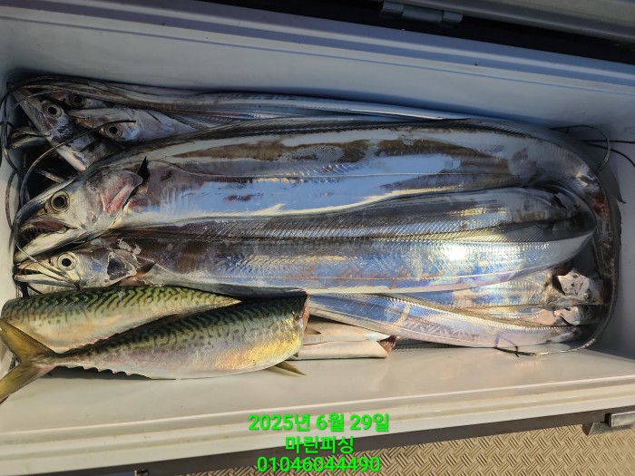 4269f80cee36a930dabc63b7f8c41848_1751157068_3879.jpg 4269f80cee36a930dabc63b7f8c41848_1751157068_3879.jpg