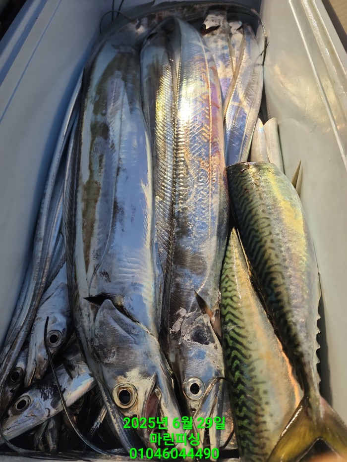 4269f80cee36a930dabc63b7f8c41848_1751157071_6501.jpg 4269f80cee36a930dabc63b7f8c41848_1751157071_6501.jpg