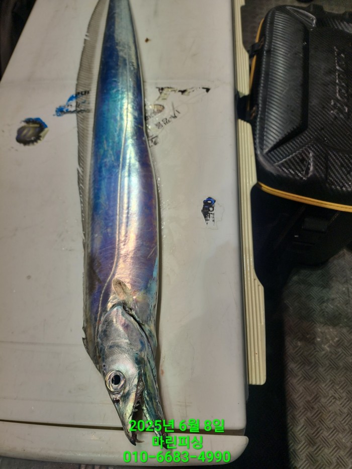 d17509cf4da5c0e267608f1b37e2e17b_1749344633_7702.jpg d17509cf4da5c0e267608f1b37e2e17b_1749344633_7702.jpg