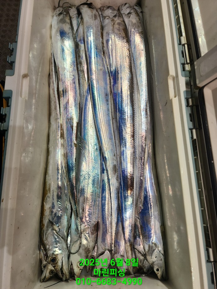 d17509cf4da5c0e267608f1b37e2e17b_1749344635_9241.jpg d17509cf4da5c0e267608f1b37e2e17b_1749344635_9241.jpg