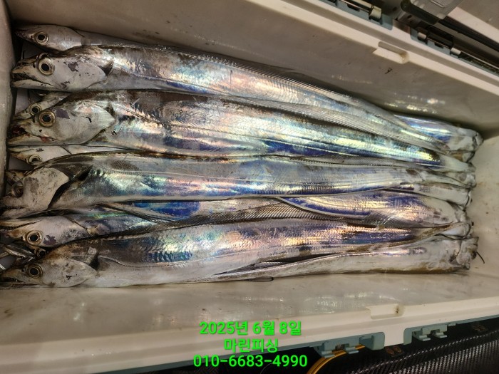 d17509cf4da5c0e267608f1b37e2e17b_1749344636_653.jpg d17509cf4da5c0e267608f1b37e2e17b_1749344636_653.jpg