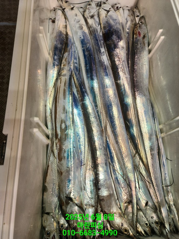 d17509cf4da5c0e267608f1b37e2e17b_1749344637_4094.jpg d17509cf4da5c0e267608f1b37e2e17b_1749344637_4094.jpg