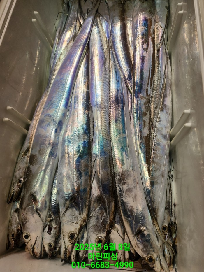 d17509cf4da5c0e267608f1b37e2e17b_1749344638_2134.jpg d17509cf4da5c0e267608f1b37e2e17b_1749344638_2134.jpg