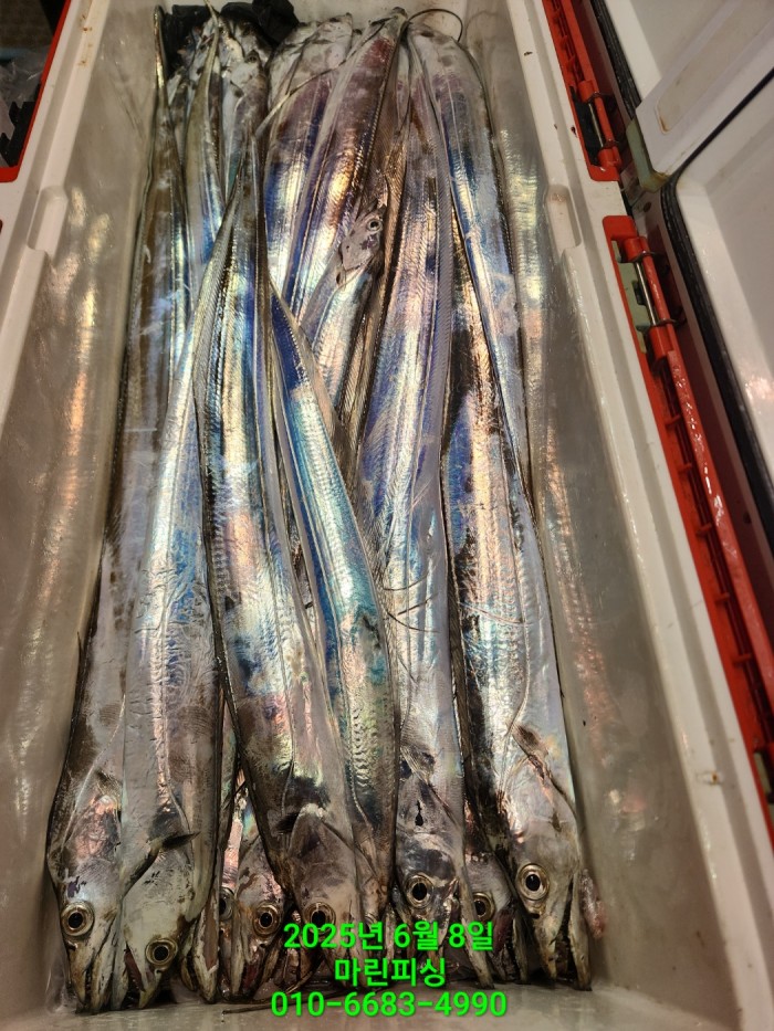 d17509cf4da5c0e267608f1b37e2e17b_1749344639_0256.jpg d17509cf4da5c0e267608f1b37e2e17b_1749344639_0256.jpg