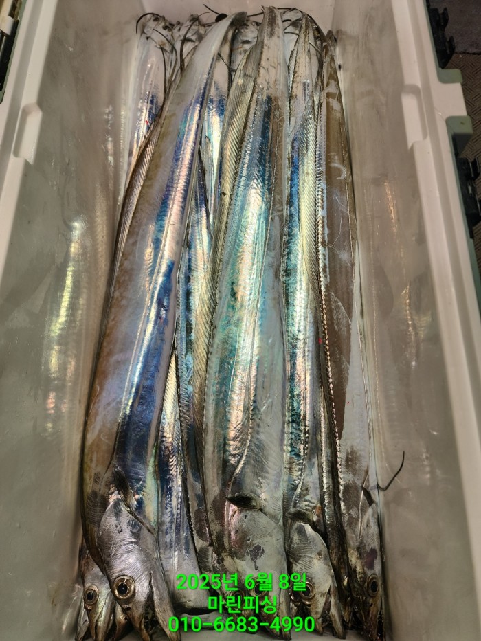 d17509cf4da5c0e267608f1b37e2e17b_1749344639_931.jpg d17509cf4da5c0e267608f1b37e2e17b_1749344639_931.jpg