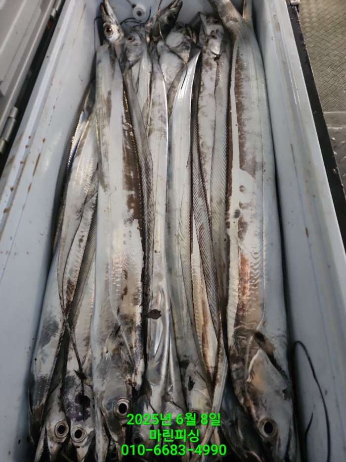 d17509cf4da5c0e267608f1b37e2e17b_1749344641_1663.jpg d17509cf4da5c0e267608f1b37e2e17b_1749344641_1663.jpg