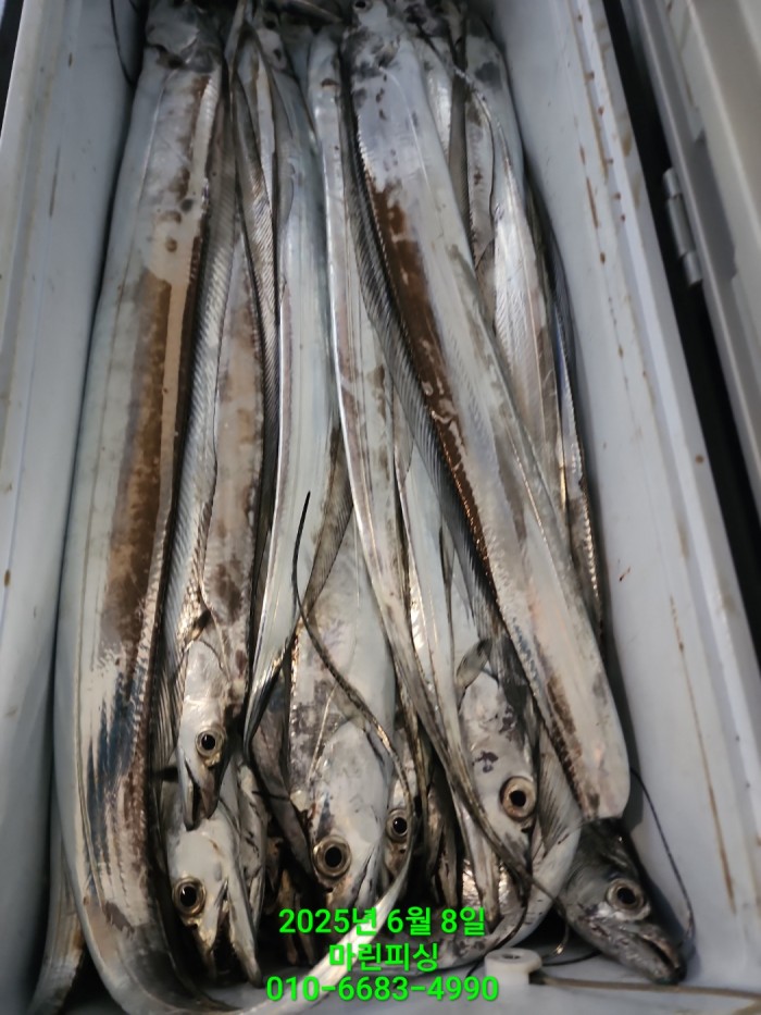 d17509cf4da5c0e267608f1b37e2e17b_1749344641_7629.jpg d17509cf4da5c0e267608f1b37e2e17b_1749344641_7629.jpg