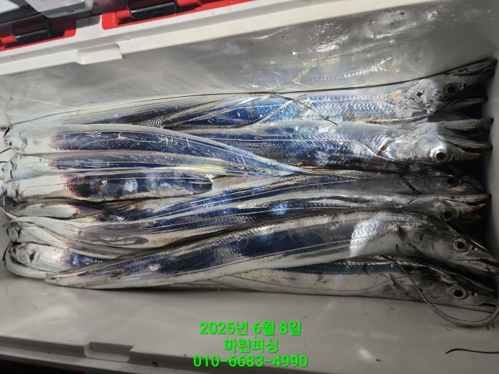 d17509cf4da5c0e267608f1b37e2e17b_1749344642_4264.jpg d17509cf4da5c0e267608f1b37e2e17b_1749344642_4264.jpg