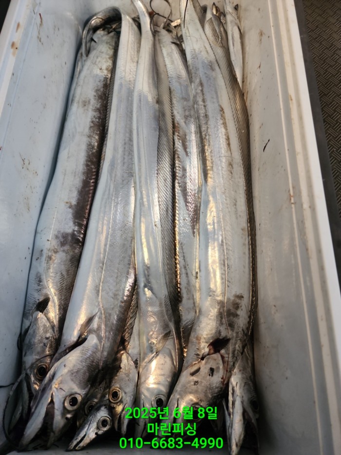 d17509cf4da5c0e267608f1b37e2e17b_1749344642_9696.jpg d17509cf4da5c0e267608f1b37e2e17b_1749344642_9696.jpg