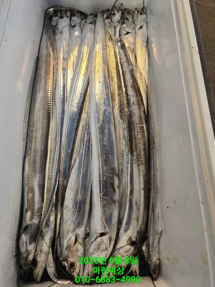 d17509cf4da5c0e267608f1b37e2e17b_1749344644_917.jpg d17509cf4da5c0e267608f1b37e2e17b_1749344644_917.jpg