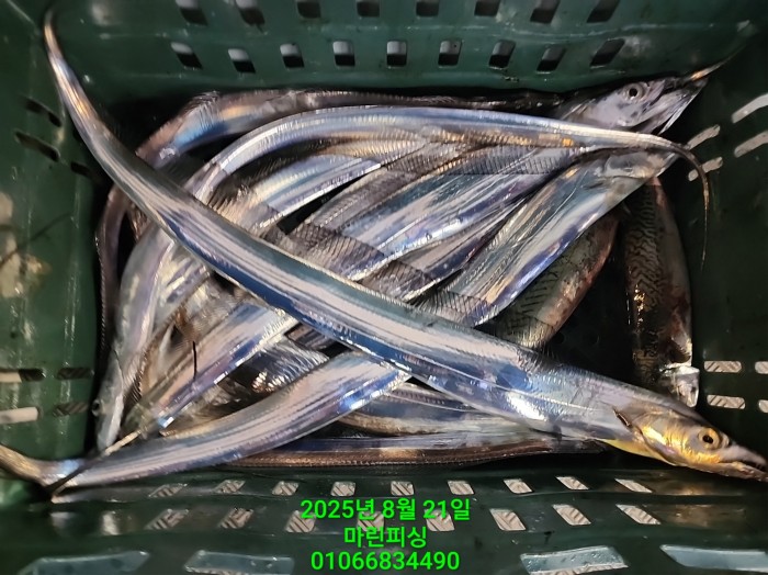 249aa304256354a3ad56d724c62484aa_1755819952_577.jpg 249aa304256354a3ad56d724c62484aa_1755819952_577.jpg