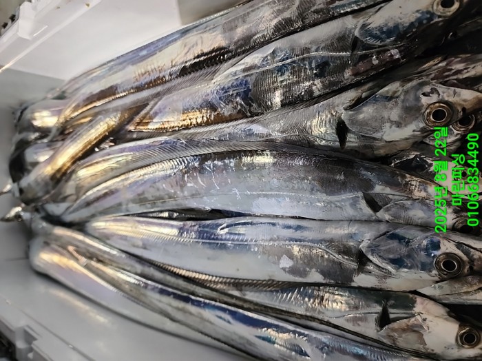 249aa304256354a3ad56d724c62484aa_1755819955_9377.jpg 249aa304256354a3ad56d724c62484aa_1755819955_9377.jpg