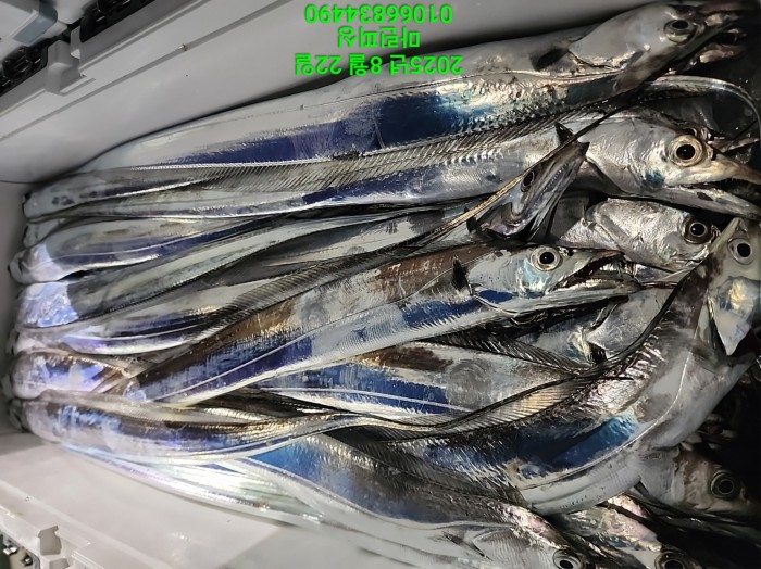 249aa304256354a3ad56d724c62484aa_1755819957_4026.jpg 249aa304256354a3ad56d724c62484aa_1755819957_4026.jpg