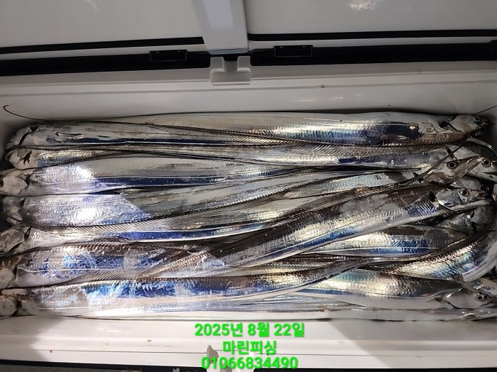 249aa304256354a3ad56d724c62484aa_1755819958_9421.jpg 249aa304256354a3ad56d724c62484aa_1755819958_9421.jpg