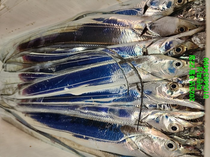 249aa304256354a3ad56d724c62484aa_1755819960_6633.jpg 249aa304256354a3ad56d724c62484aa_1755819960_6633.jpg