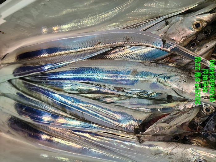 249aa304256354a3ad56d724c62484aa_1755819962_484.jpg 249aa304256354a3ad56d724c62484aa_1755819962_484.jpg