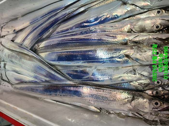 249aa304256354a3ad56d724c62484aa_1755819964_2955.jpg 249aa304256354a3ad56d724c62484aa_1755819964_2955.jpg