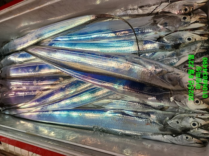 249aa304256354a3ad56d724c62484aa_1755819966_2297.jpg 249aa304256354a3ad56d724c62484aa_1755819966_2297.jpg