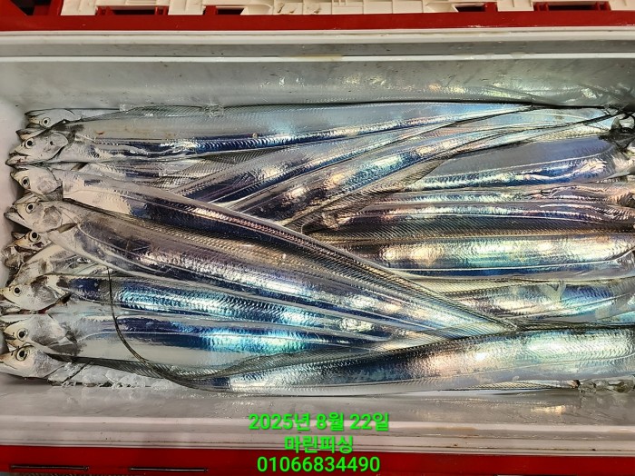 249aa304256354a3ad56d724c62484aa_1755819968_2727.jpg 249aa304256354a3ad56d724c62484aa_1755819968_2727.jpg