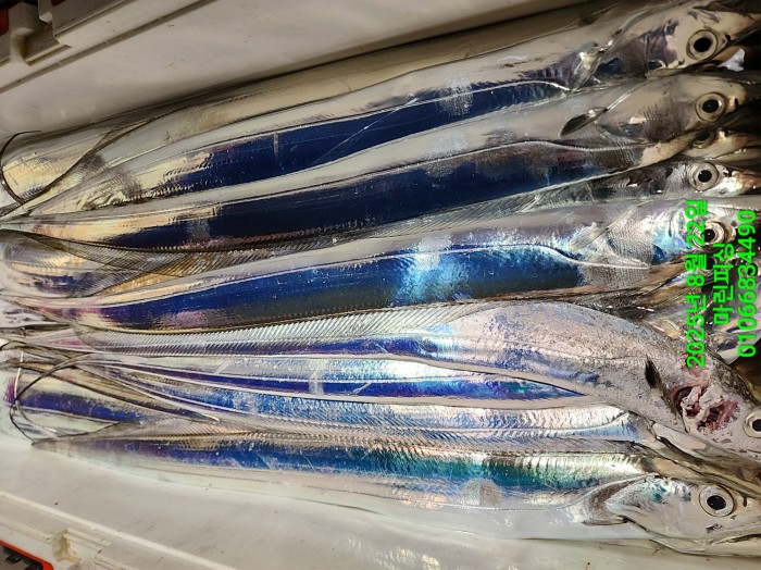 249aa304256354a3ad56d724c62484aa_1755819969_9981.jpg 249aa304256354a3ad56d724c62484aa_1755819969_9981.jpg