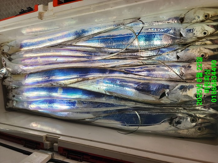 249aa304256354a3ad56d724c62484aa_1755819971_7173.jpg 249aa304256354a3ad56d724c62484aa_1755819971_7173.jpg