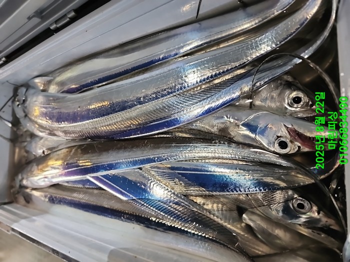 249aa304256354a3ad56d724c62484aa_1755819973_1199.jpg 249aa304256354a3ad56d724c62484aa_1755819973_1199.jpg