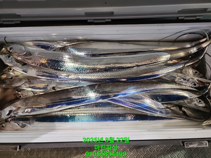 249aa304256354a3ad56d724c62484aa_1755819974_6025.jpg 249aa304256354a3ad56d724c62484aa_1755819974_6025.jpg