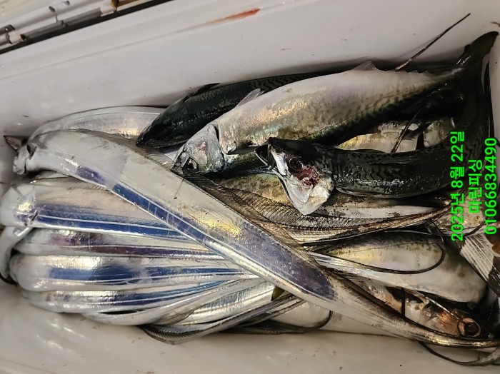 249aa304256354a3ad56d724c62484aa_1755819975_8469.jpg 249aa304256354a3ad56d724c62484aa_1755819975_8469.jpg