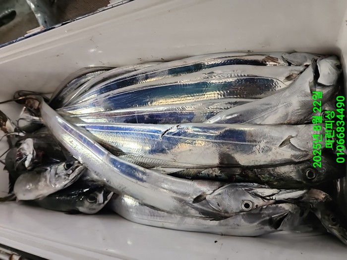 249aa304256354a3ad56d724c62484aa_1755819977_0029.jpg 249aa304256354a3ad56d724c62484aa_1755819977_0029.jpg