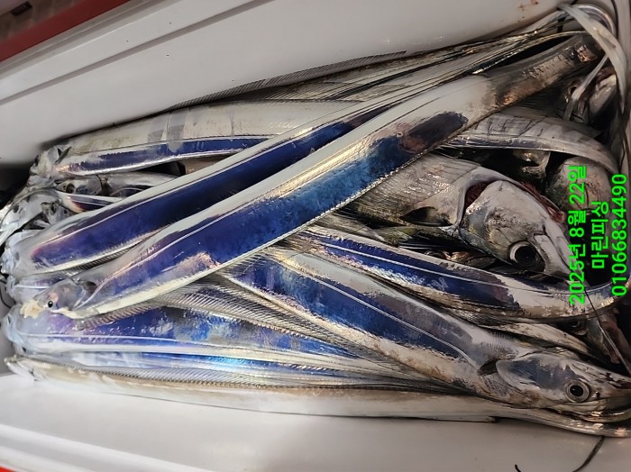 249aa304256354a3ad56d724c62484aa_1755819978_4247.jpg 249aa304256354a3ad56d724c62484aa_1755819978_4247.jpg