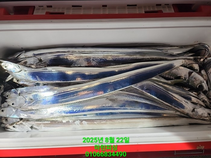 249aa304256354a3ad56d724c62484aa_1755819979_7203.jpg 249aa304256354a3ad56d724c62484aa_1755819979_7203.jpg