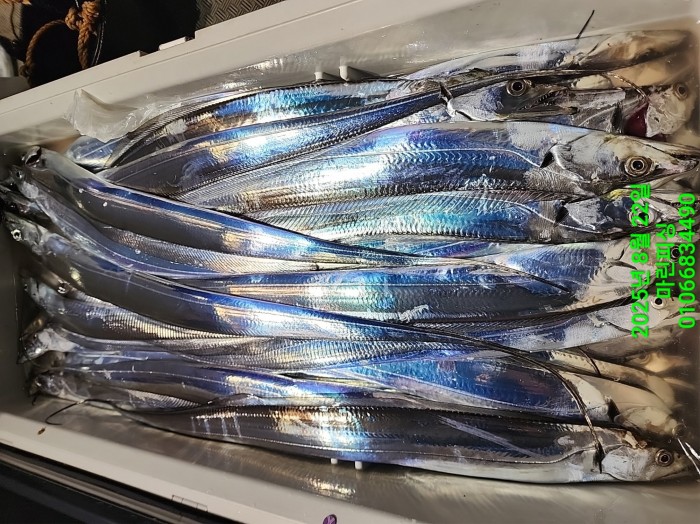 249aa304256354a3ad56d724c62484aa_1755819981_5031.jpg 249aa304256354a3ad56d724c62484aa_1755819981_5031.jpg