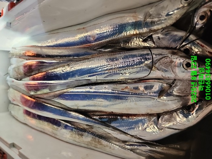 249aa304256354a3ad56d724c62484aa_1755819982_8474.jpg 249aa304256354a3ad56d724c62484aa_1755819982_8474.jpg