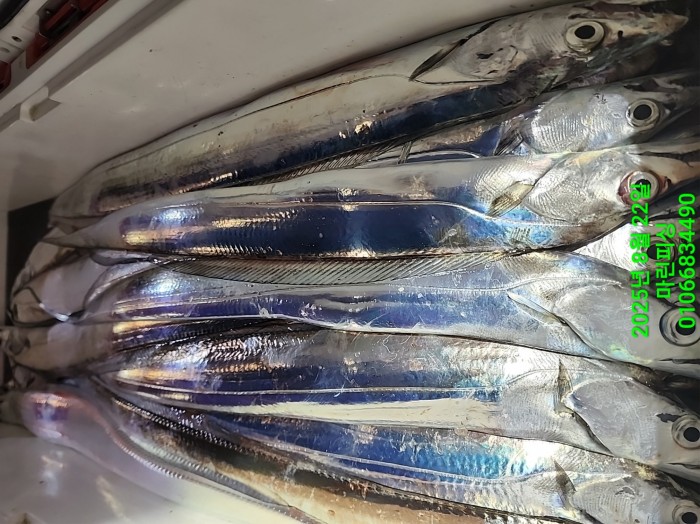 249aa304256354a3ad56d724c62484aa_1755819984_2796.jpg 249aa304256354a3ad56d724c62484aa_1755819984_2796.jpg