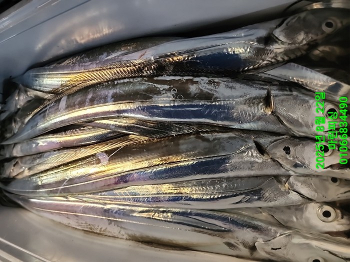 249aa304256354a3ad56d724c62484aa_1755819985_6293.jpg 249aa304256354a3ad56d724c62484aa_1755819985_6293.jpg