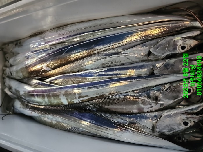 249aa304256354a3ad56d724c62484aa_1755819986_8646.jpg 249aa304256354a3ad56d724c62484aa_1755819986_8646.jpg