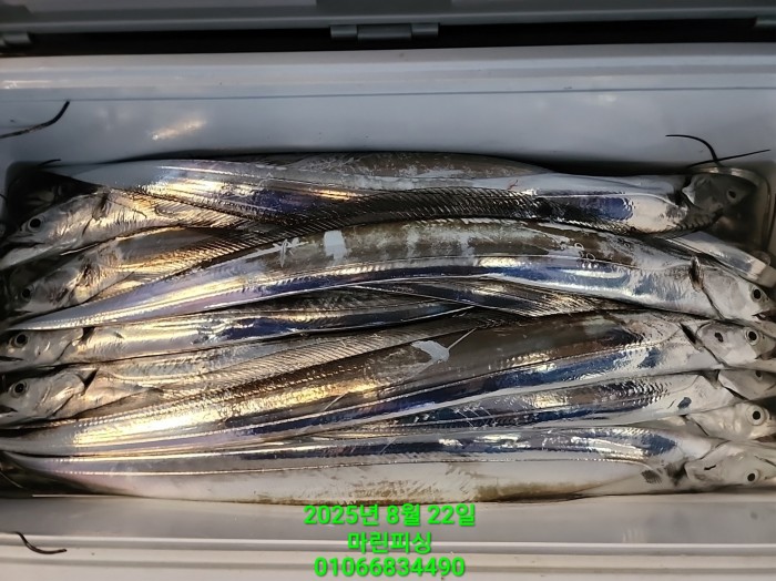 249aa304256354a3ad56d724c62484aa_1755819988_2011.jpg 249aa304256354a3ad56d724c62484aa_1755819988_2011.jpg