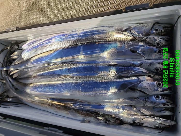 249aa304256354a3ad56d724c62484aa_1755819989_8277.jpg 249aa304256354a3ad56d724c62484aa_1755819989_8277.jpg