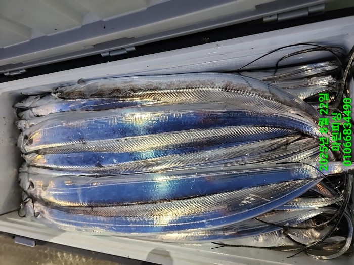 249aa304256354a3ad56d724c62484aa_1755819991_2833.jpg 249aa304256354a3ad56d724c62484aa_1755819991_2833.jpg